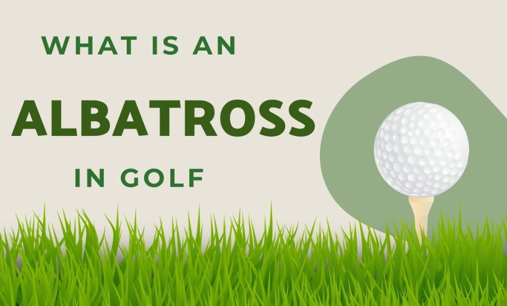 What is Albatross in Golf